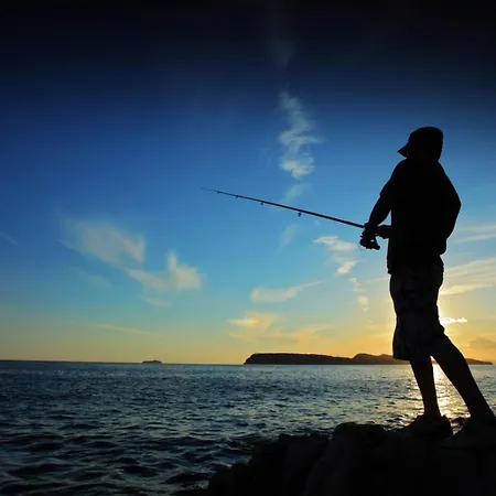 In With Seaview, Terrace, Air Condition, Wifi Zdrelac